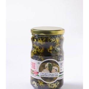Labneh with oil (black seed) - (لبنة كرات مع زيت الزيتون وحبة البركة  (قزحة
